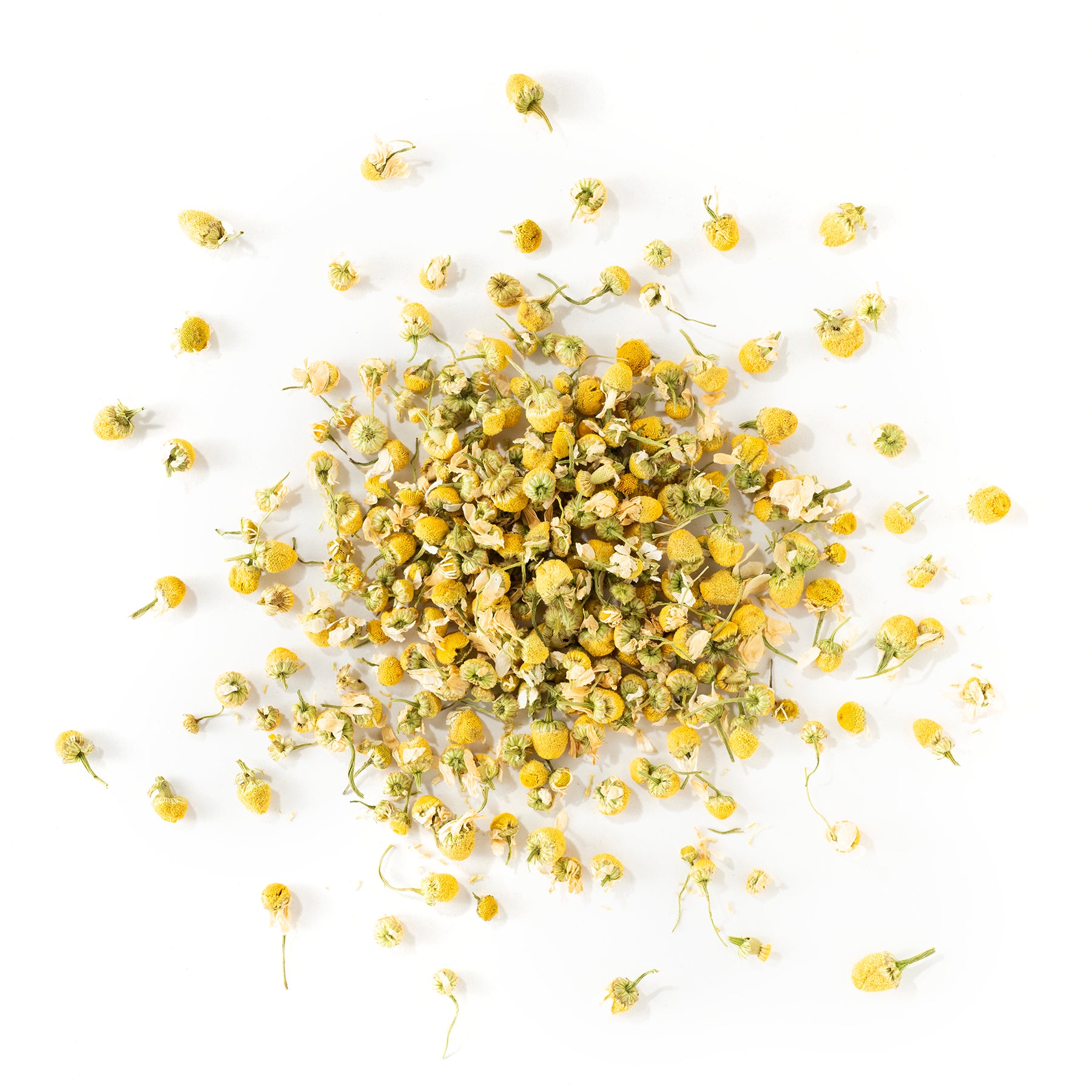 Chamomile – Apolis Tea