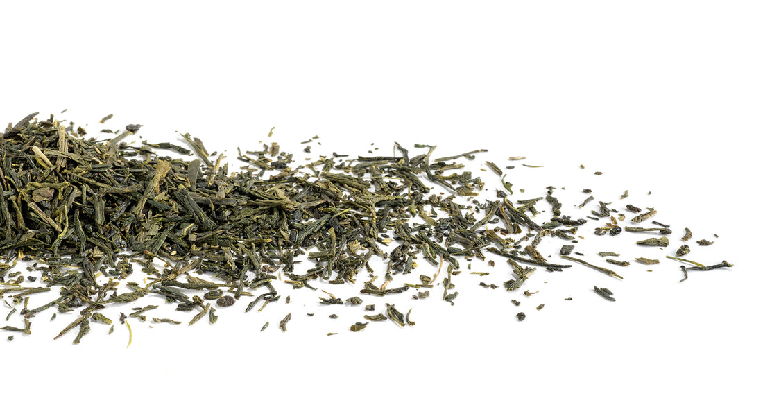 Sencha Premium