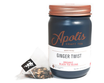 Ginger Twist Tea Bags