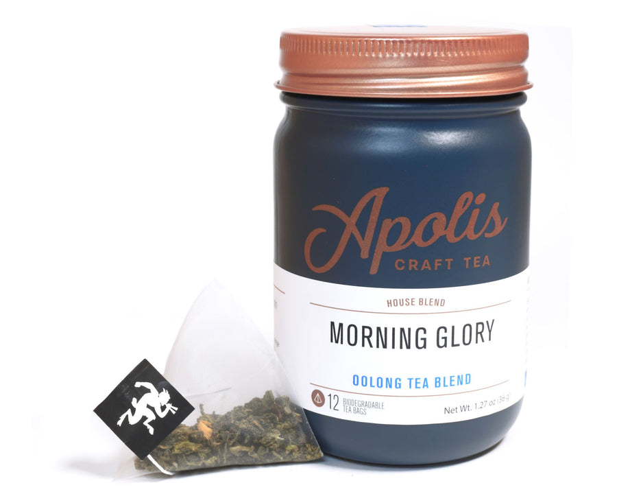 Morning Glory